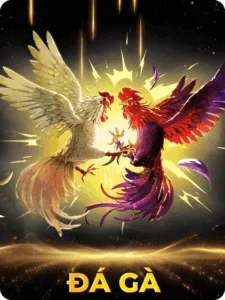 Sảnh Đá Gà VIP69